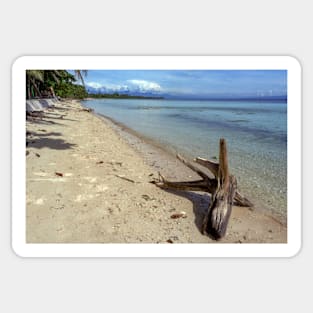 driftwood on the beach Sticker